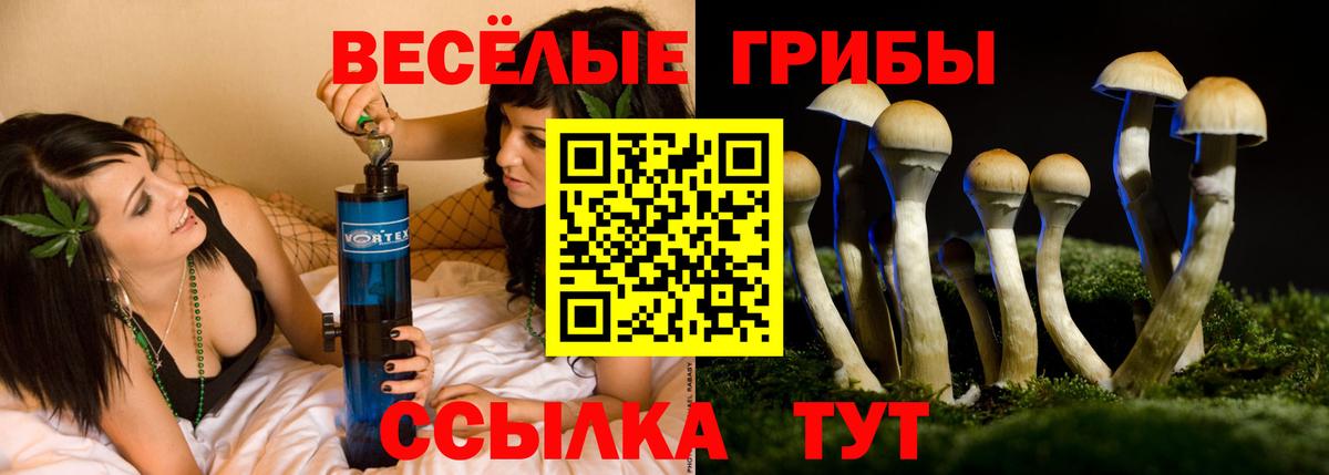 Псилоцибиновые грибы мицелий  Вход с VPN  Псилоцибиновые грибы GOLDEN TEACHER  Биробиджан 